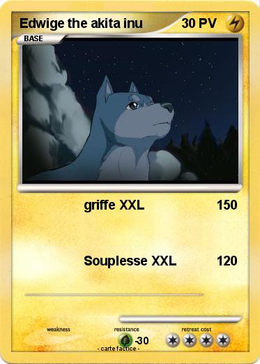 Pokemon Edwige the akita inu