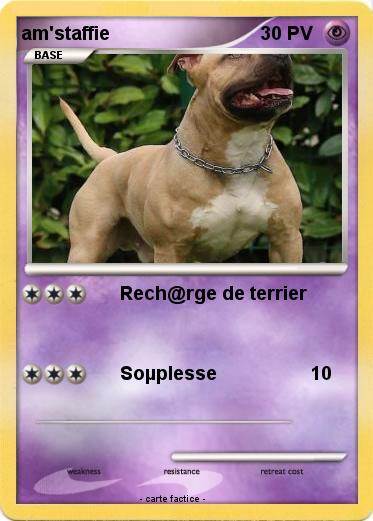 Pokemon am'staffie