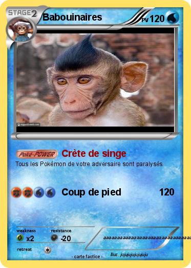 Pokemon Babouinaires