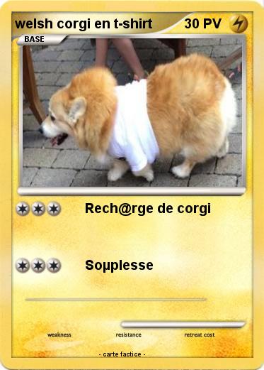 Pokemon welsh corgi en t-shirt