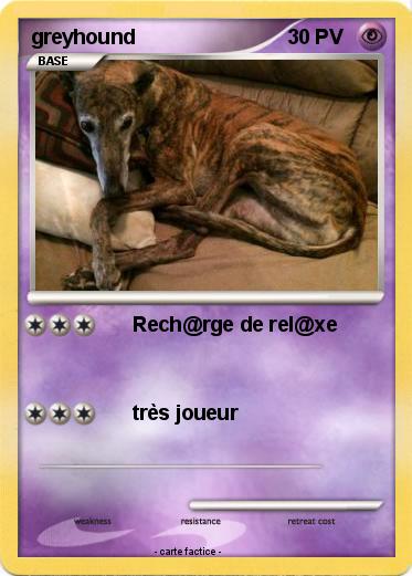 Pokemon greyhound