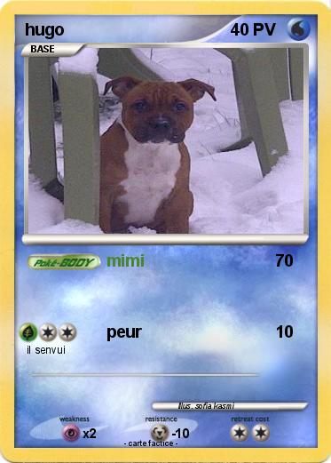 Pokemon hugo