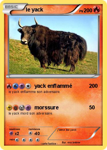 Pokemon le yack