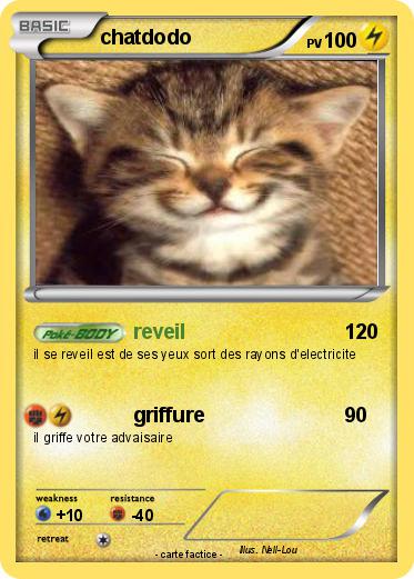 Pokemon chatdodo