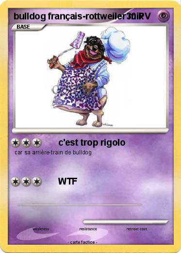 Pokemon bulldog français-rottweiler mix