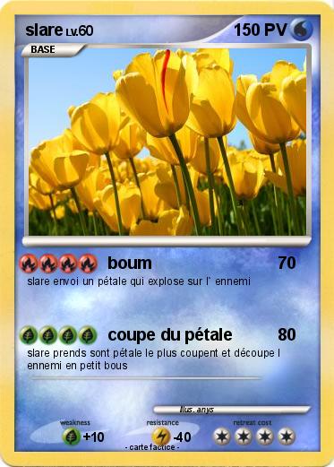 Pokemon slare