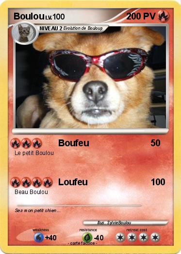 Pokemon Boulou