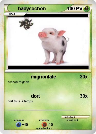 Pokemon babycochon