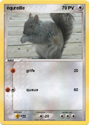 Pokemon équreille