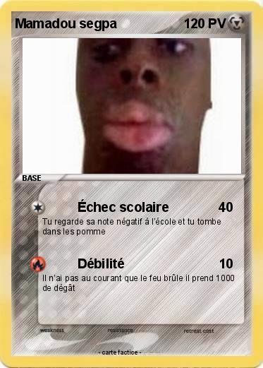 Pokemon Mamadou segpa
