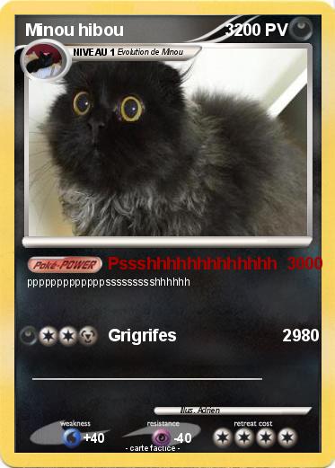Pokemon Minou hibou                      3