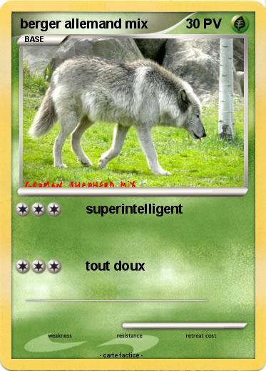 Pokemon berger allemand mix