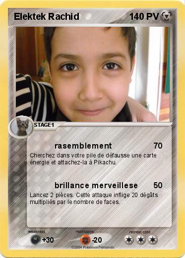 Pokemon Elektek Rachid