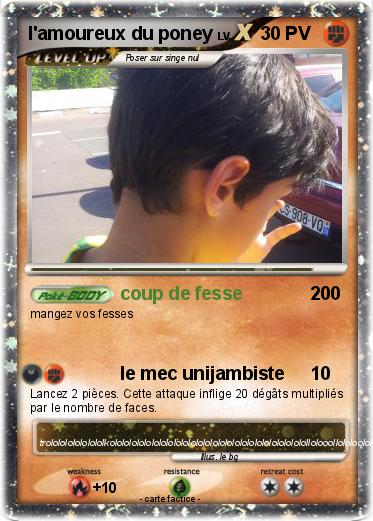 Pokemon l'amoureux du poney