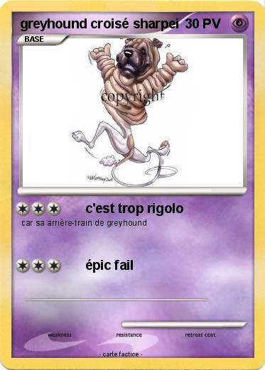 Pokemon greyhound croisé sharpei