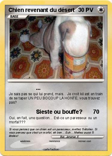 Pokemon Chien revenant du désert