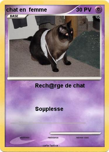 Pokemon chat en  femme