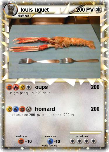 Pokemon louis uguet