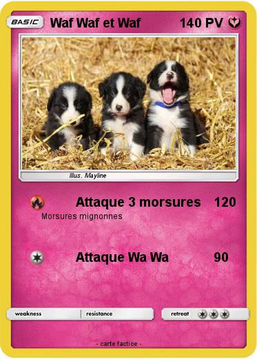 Pokemon Waf Waf et Waf