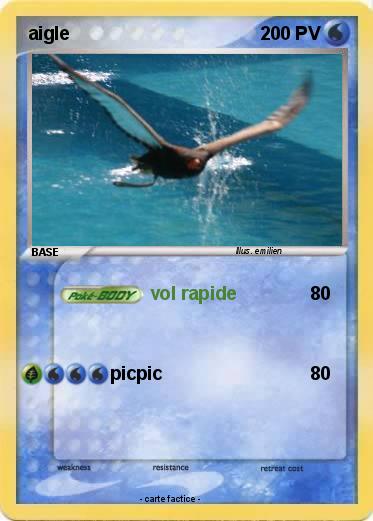 Pokemon aigle