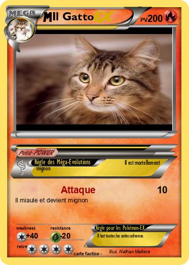 Pokemon Il Gatto