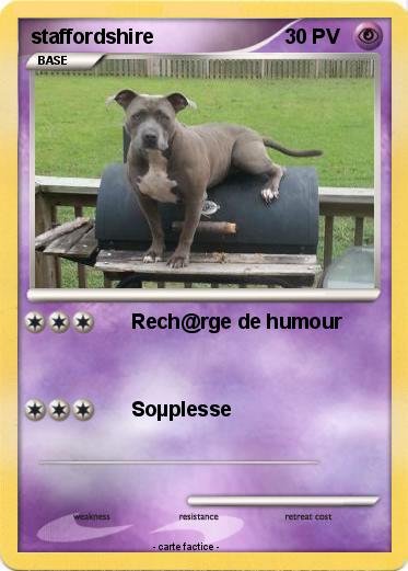 Pokemon staffordshire