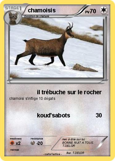 Pokemon chamoisis