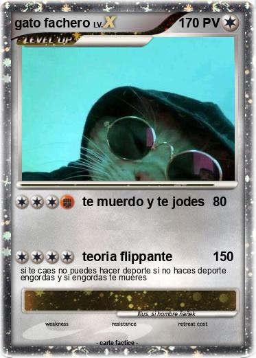 Pokemon gato fachero