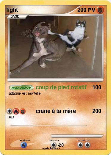 Pokemon fight