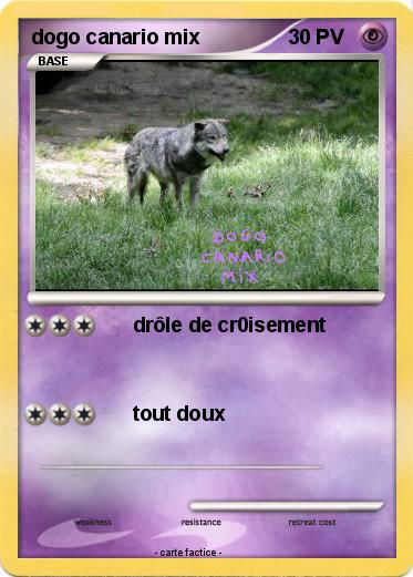 Pokemon dogo canario mix