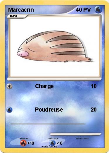 Pokemon Marcacrin