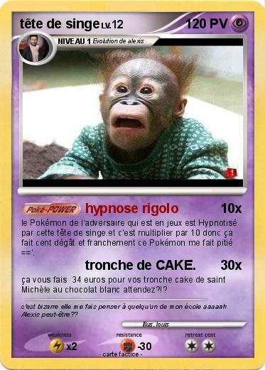 Pokemon tête de singe