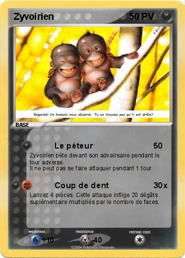 Pokemon Zyvoirien