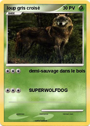 Pokemon loup gris croisé