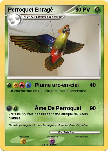 Pokemon Perroquet Enragé