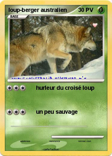 Pokemon loup-berger australien