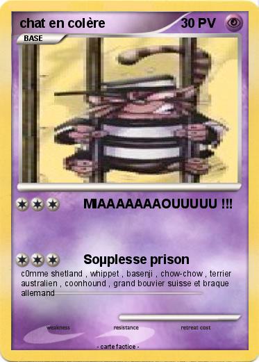 Pokemon chat en colère