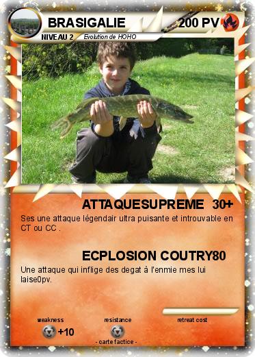 Pokemon BRASIGALIE