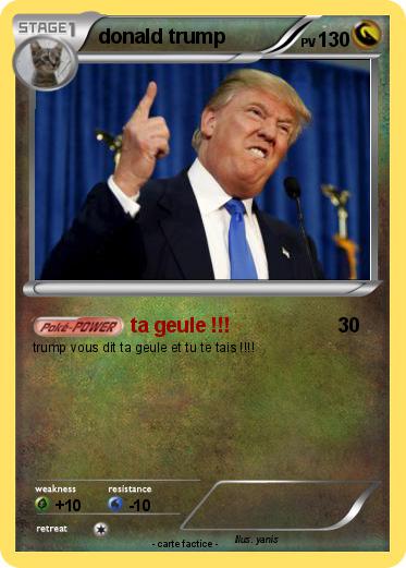 Pokemon donald trump