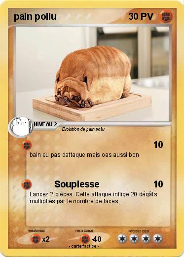 Pokemon pain poilu