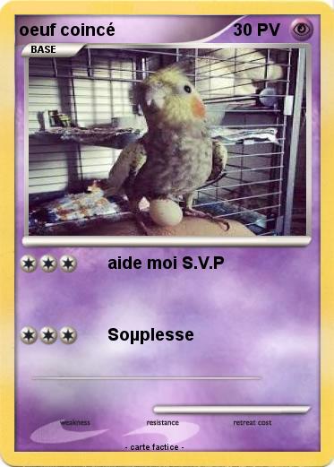 Pokemon oeuf coincé