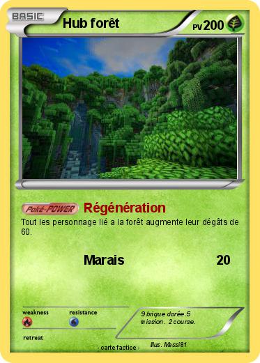 Pokemon Hub forêt