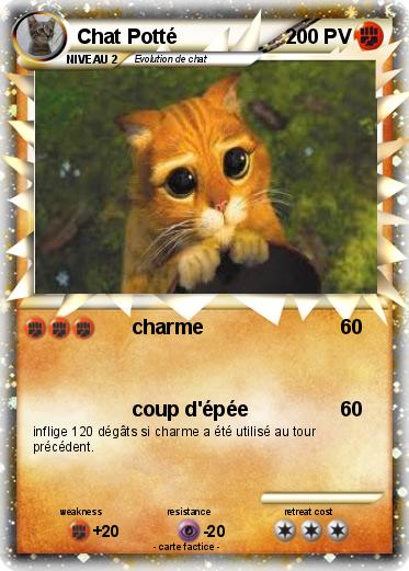 Pokemon Chat Potté