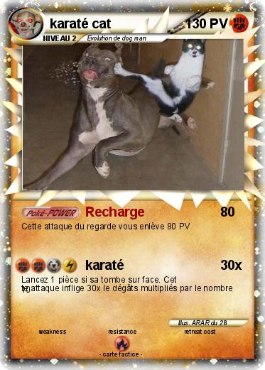 Pokemon karaté cat
