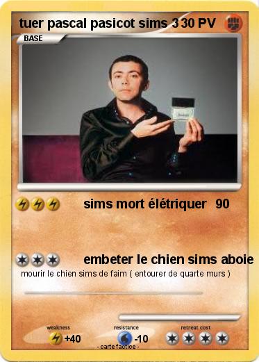 Pokemon tuer pascal pasicot sims 3