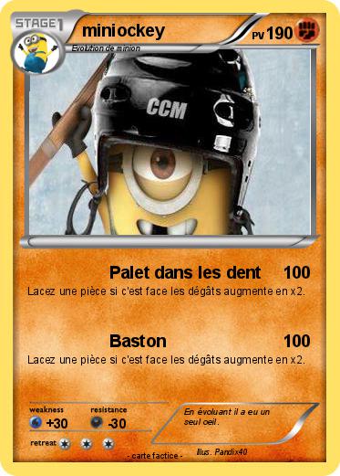 Pokemon miniockey