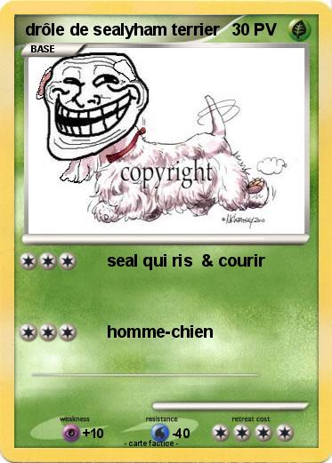 Pokemon drôle de sealyham terrier