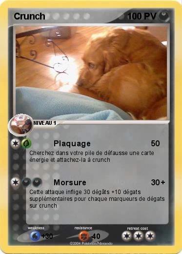 Pokemon Crunch