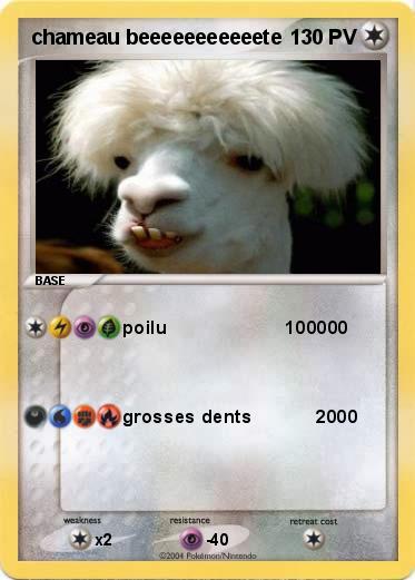 Pokemon chameau beeeeeeeeeeete