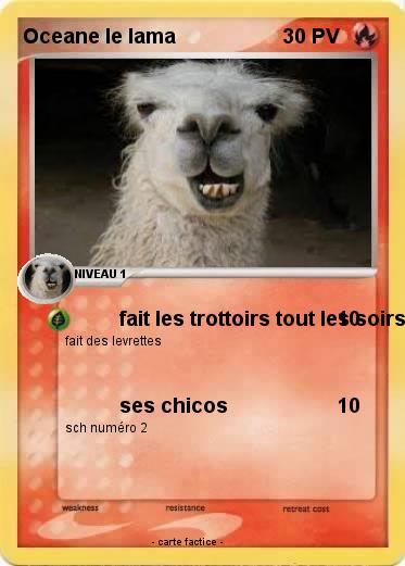 Pokemon Oceane le lama